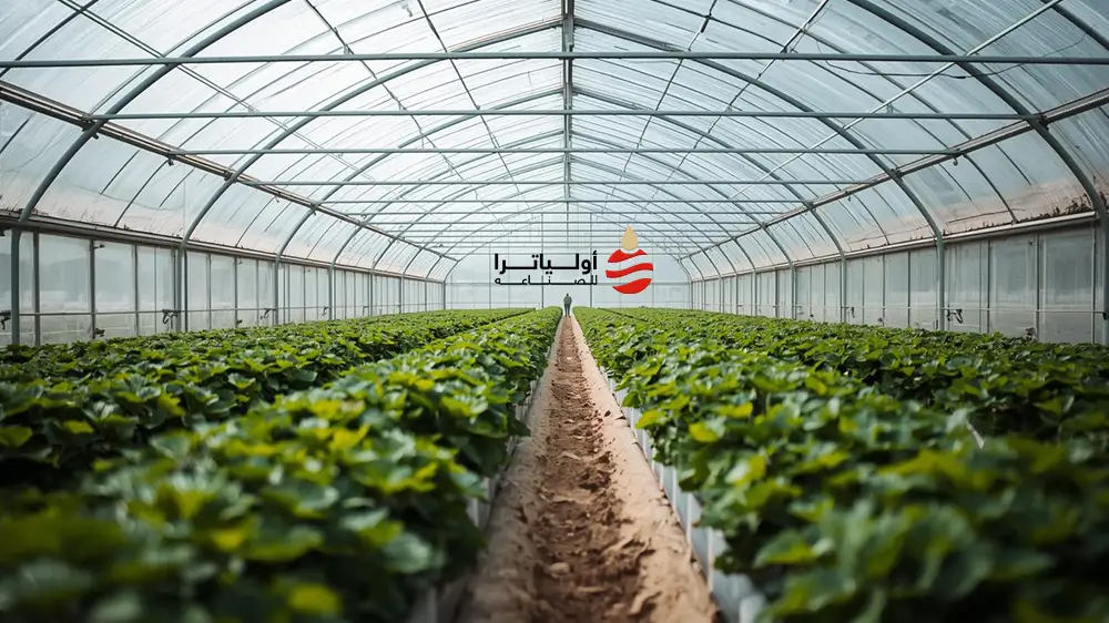 رولات تغطية العنب من أولياترا: حماية عالية الجودة لزيادة الإنتاج وتحسين المحصول 2 رولات تغطية العنب