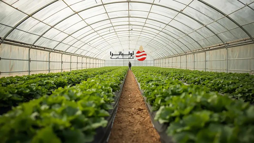 رولات تغطية العنب من أولياترا: حماية عالية الجودة لزيادة الإنتاج وتحسين المحصول 1 مزايا استخدام رولات التغطية للمزارع